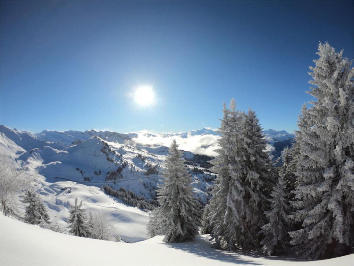 Chalet Aventure B&B Les Gets Exterior foto